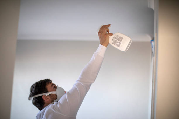 Best Office Mold Removal Services  in Penhook, VA