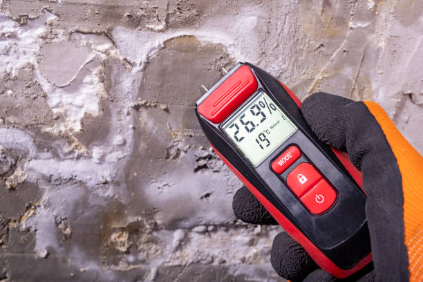 Best Fast Mold Removal  in Penhook, VA