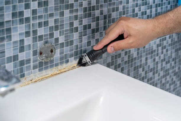 Best Same-Day Mold Removal  in Penhook, VA