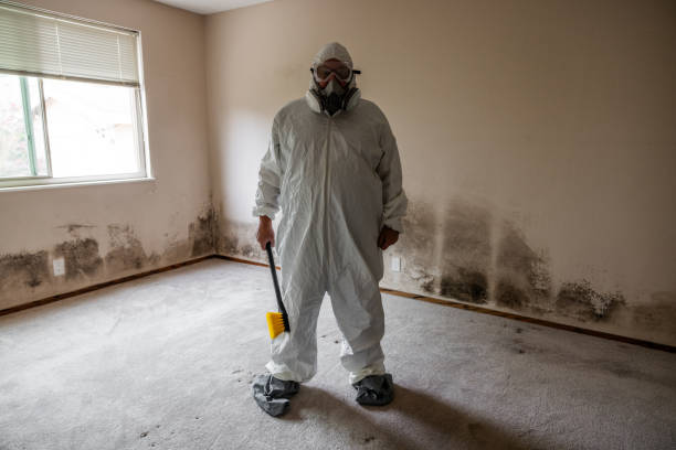 Best Mold Cleaning Services  in Penhook, VA